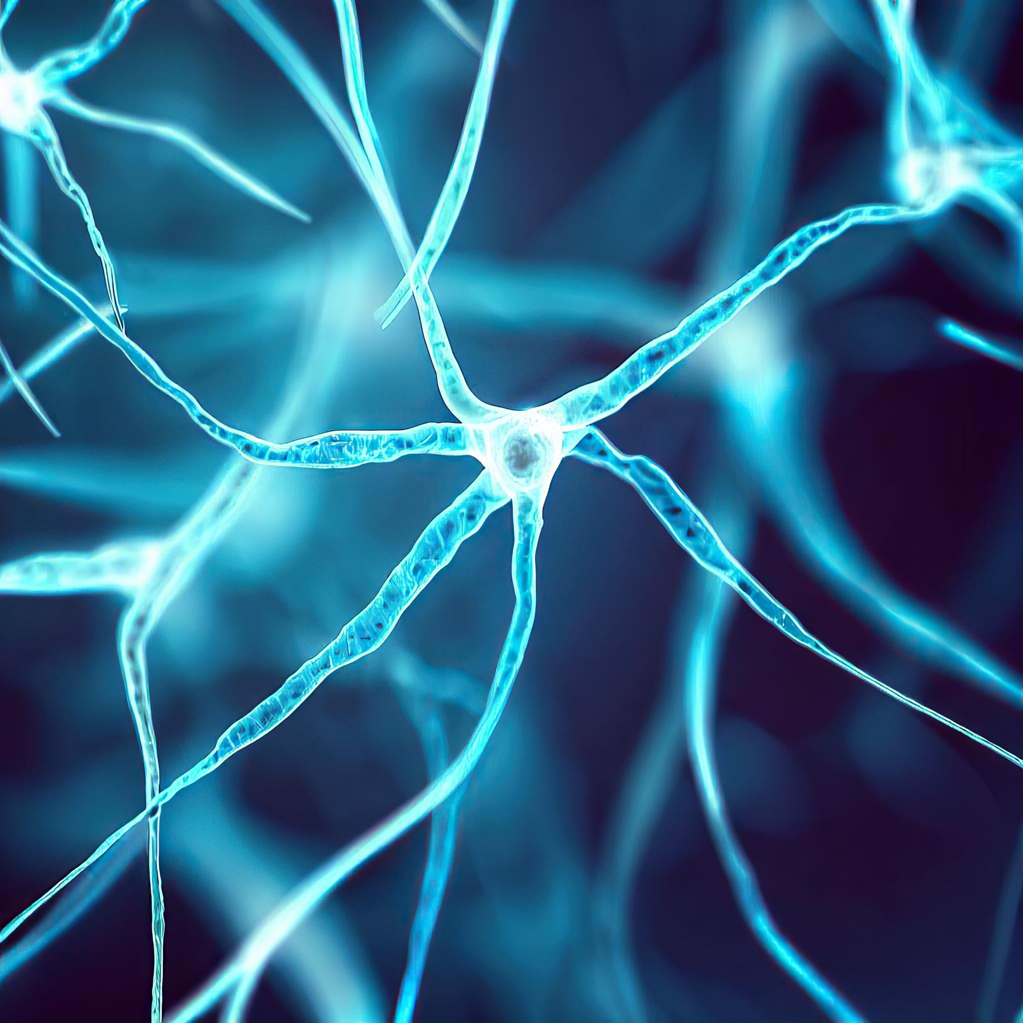 Close-up of interconnected neurons glowing blue against a dark background, highlighting cognitive function and mental agility.