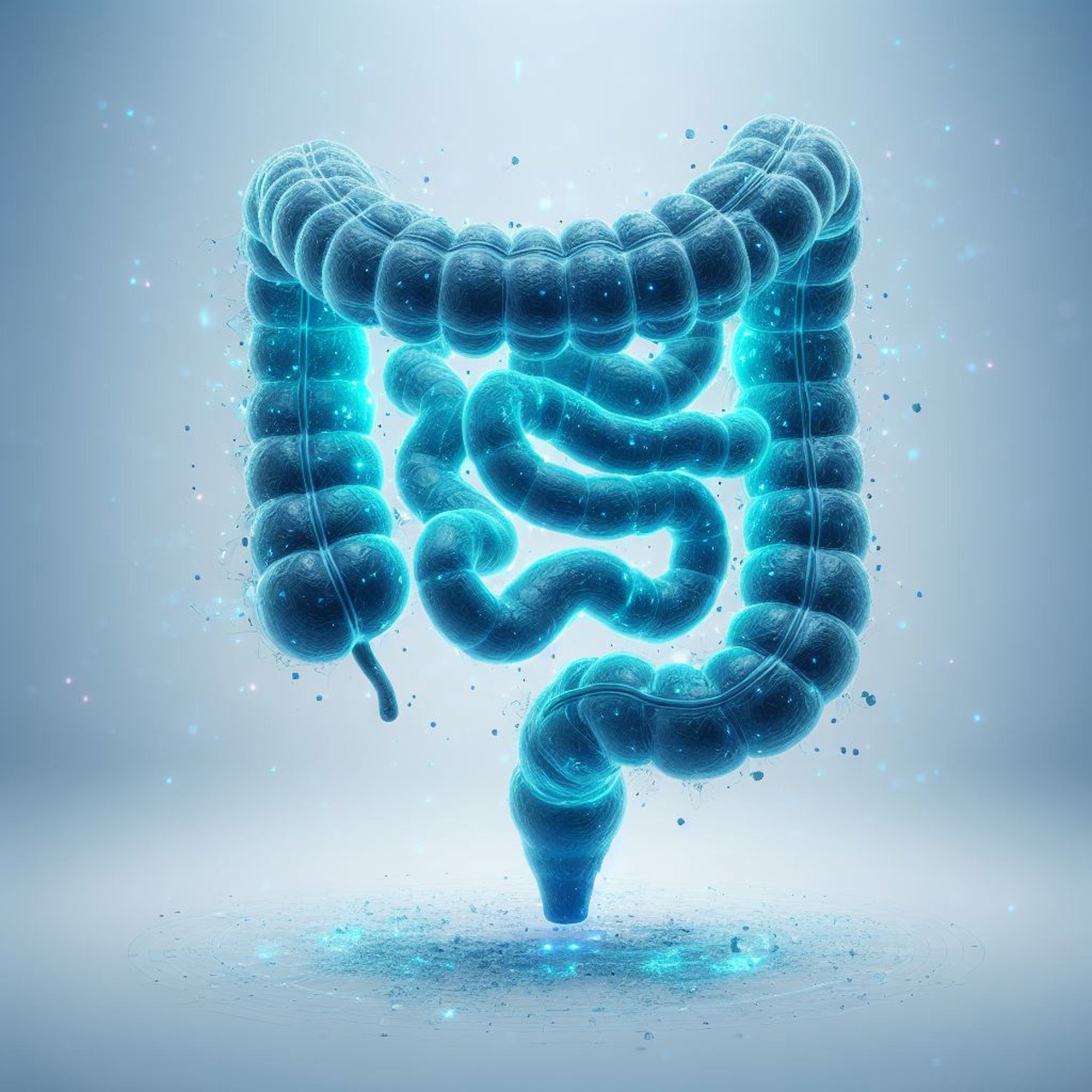 Illustration of glowing blue human intestines, emphasizing intestinal health for gut function and overall gastrointestinal wellness.